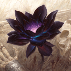 MTG