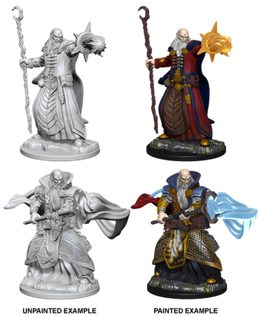 Nolzur's Marvelous Miniatures - Human Wizard
