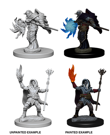 Nolzur's Marvelous Miniatures - Elf Wizard