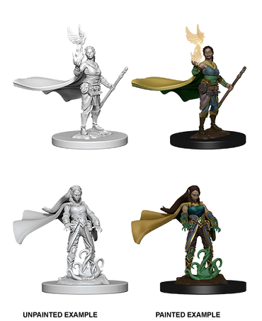 Nolzur's Marvelous Miniatures - Elf Druid