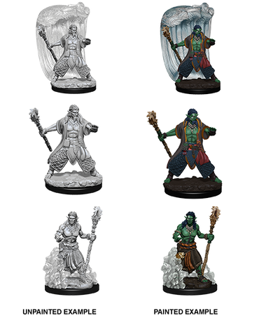 Nolzur's Marvelous Miniatures - Water Genasi Druid