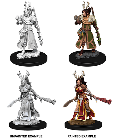 Nolzur's Marvelous Miniatures - Human Druid