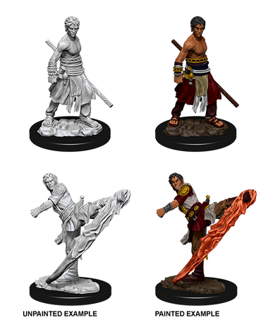 Nolzur's Marvelous Miniatures - Half-Elf Monk