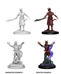 NOLZUR'S MARVELOUS MINIATURES: TIEFLING WARLOCK (M)