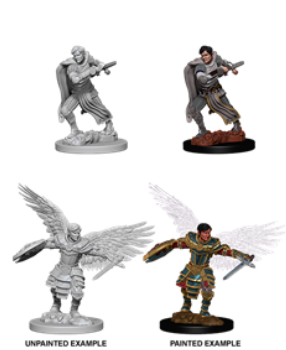 Nolzur's Marvelous Miniatures - Aasimar Paladin