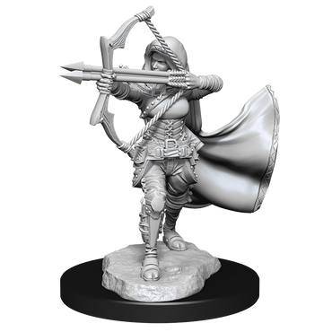 Nolzur's Marvelous Miniatures - Air Genasi