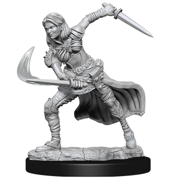 Nolzur's Marvelous Miniatures - Air Genasi
