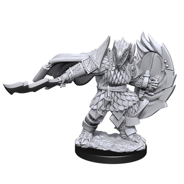 Nolzur's Marvelous Miniatures - Dragonborn Fighter