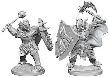 Nolzur's Marvelous Miniatures - Dragonborn Paladin