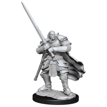 Nolzur's Marvelous Miniatures - Half-Orc Paladin