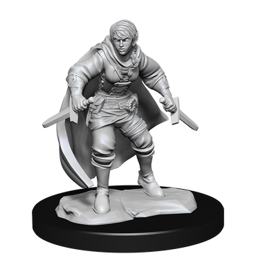 Nolzur's Marvelous Miniatures - Half-Elf Rogue