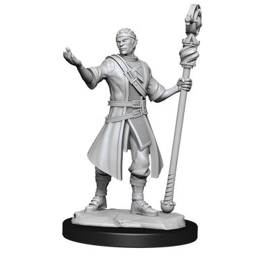 Nolzur's Marvelous Miniatures - Half-Elf Wizard