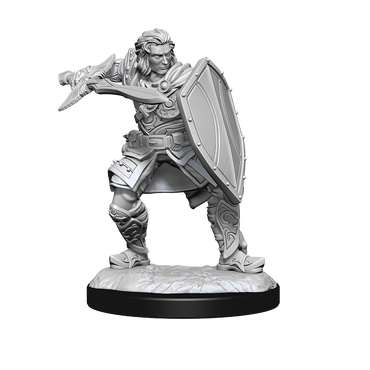 Nolzur's Marvelous Miniatures - Human Paladin