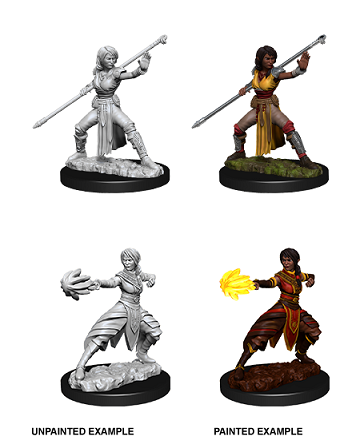 Nolzur's Marvelous Miniatures: Half-Elf Monk