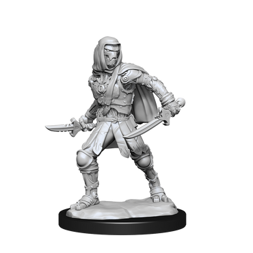 Nolzur's Marvelous Miniatures - Warforged Rogue