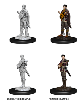 Nolzur's Marvelous Miniatures - Half-Elf Bard