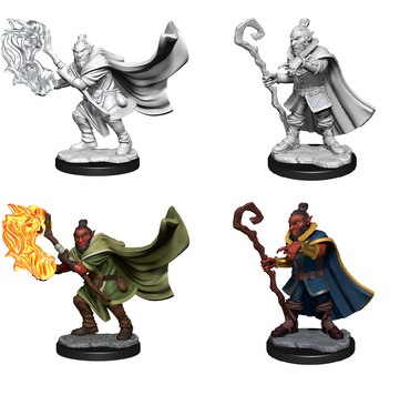 Critical Roll - Hobgoblin Wizard and Druid