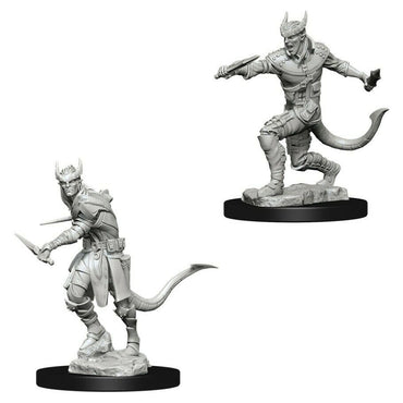 Nolzur's Marvelous Miniatures - Tiefling Rogue